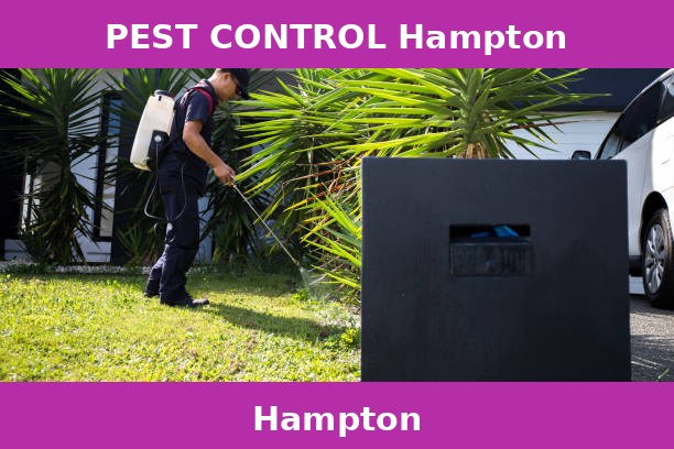 PEST CONTROL Hampton